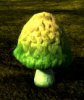 MushroomBellGreen01.jpg