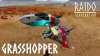 Raido-Grasshopper.jpg