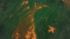 unknown (1).png