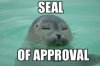 Seal of Approval Pic1.jpg
