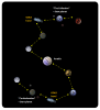 PvP universe design.png