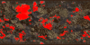 map8-31-StartTH.png