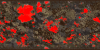 mapTest6.png