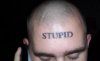 a96831_a511_random2-stupid2.jpg