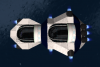 t11dorsal.png