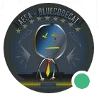 BlueCodeCat