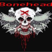 BoneHead Skull