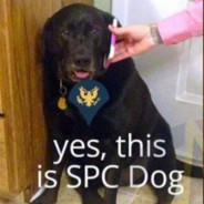 SPC Dog