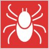 Tick